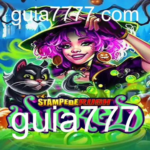 guia777 política Privacidade